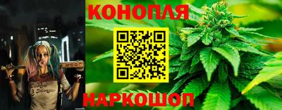 ГАЛЛЮЦИНОГЕННЫЕ ГРИБЫ Малгобек