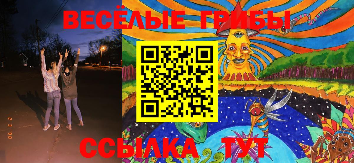Псилоцибиновые грибы GOLDEN TEACHER  Вход с VPN  Канск 