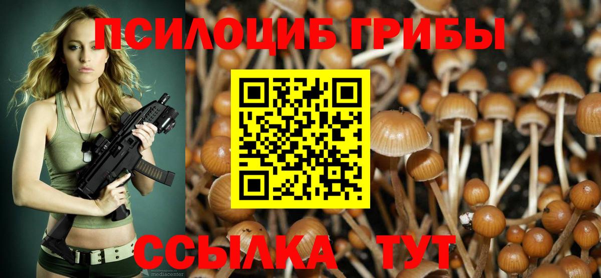 Псилоцибиновые грибы мицелий Канск