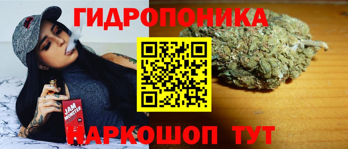 Шишки марихуана семена Канск